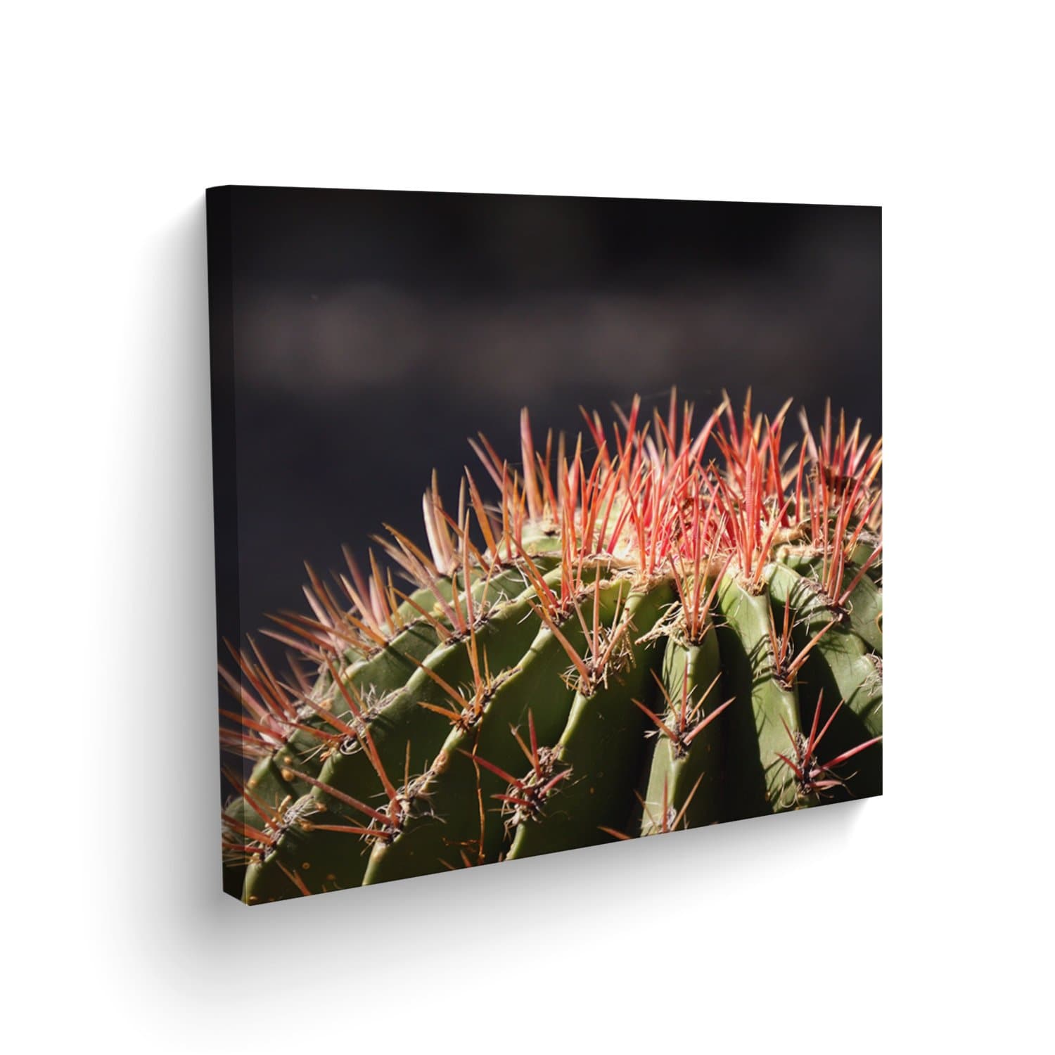 Canvas Cactus - Maxigráfica Shop