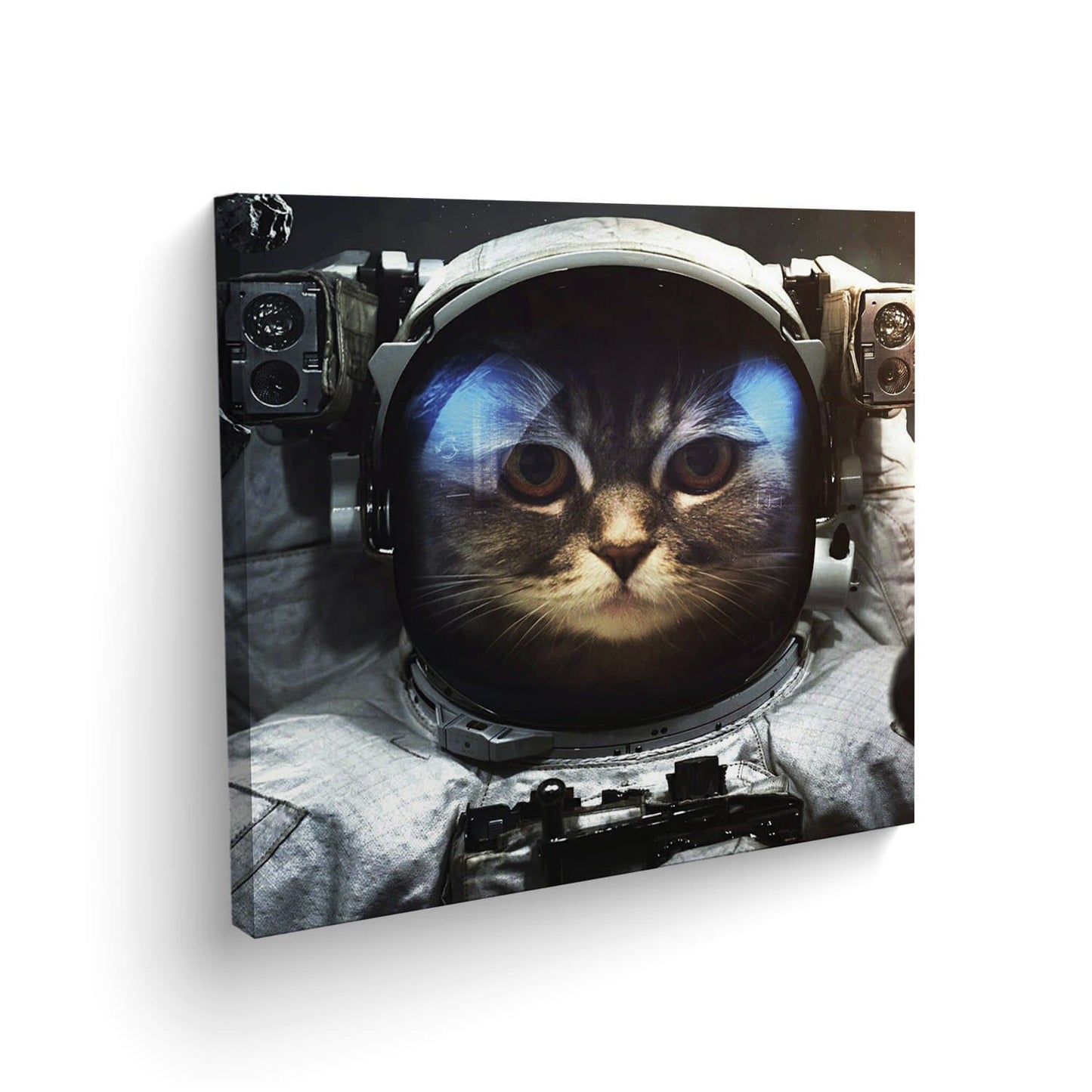 Canvas Gato Astronauta - Maxigráfica Shop