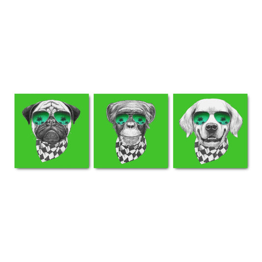 Set Dog Life cuadros decorativos - Maxigráfica Shop